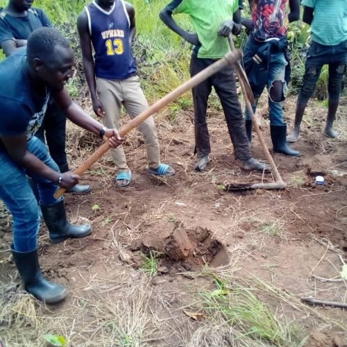 WhatsApp Image 2024-05-06 at 01.03.58