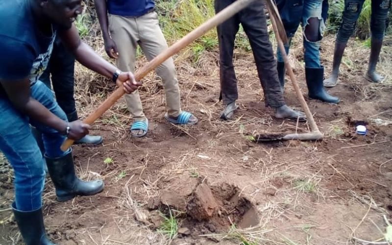 WhatsApp Image 2024-05-06 at 01.03.58